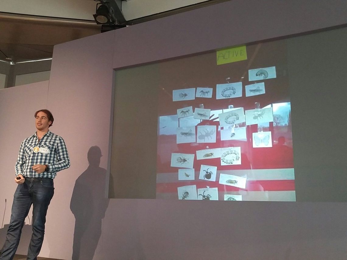 Beren Van Daele Beren Van Daele